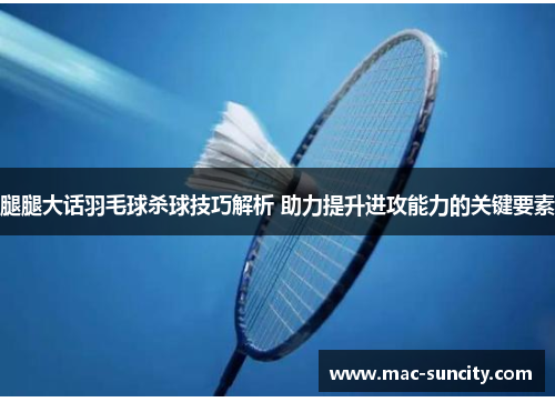腿腿大话羽毛球杀球技巧解析 助力提升进攻能力的关键要素